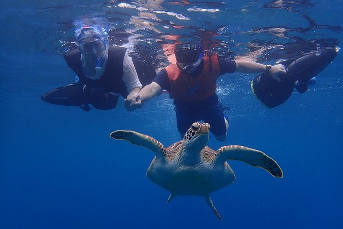 Turtle Beach Power Snorkeling Adventure - The Pillars of Hercules add a scenic finish
