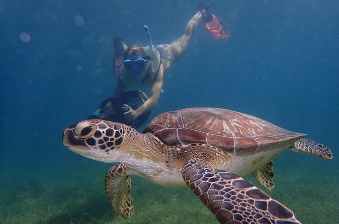 Turtle Beach Power Snorkeling Adventure - Included photos are more useful than they sound